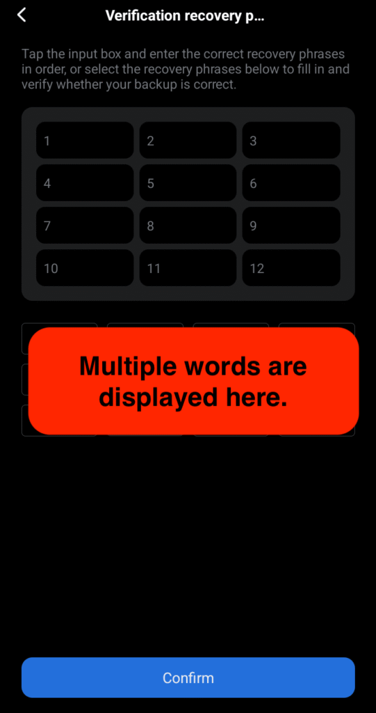 A list of recovery words (mnemonic:seed phrase) will be displayed